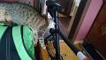 2016-05-19 16.35.04 - Inka i rower